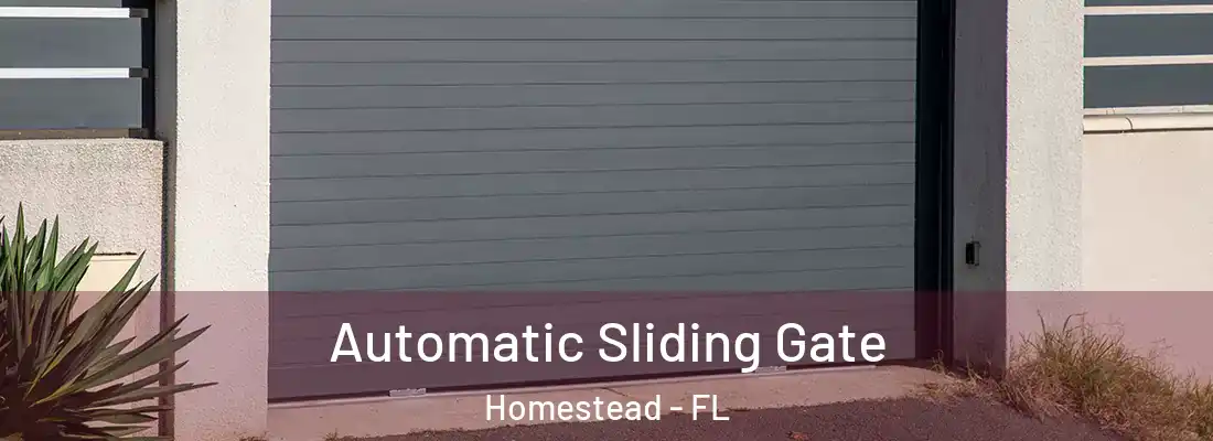  Automatic Sliding Gate Homestead - FL