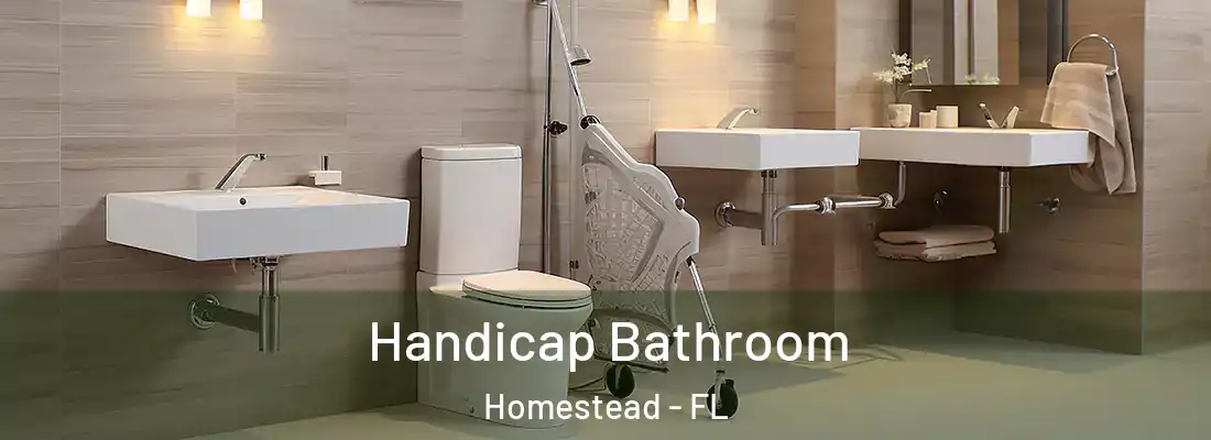  Handicap Bathroom Homestead - FL