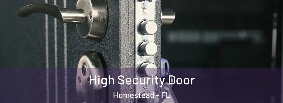  High Security Door Homestead - FL